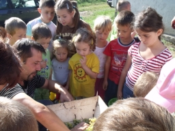 ovipfalu_19_20180901